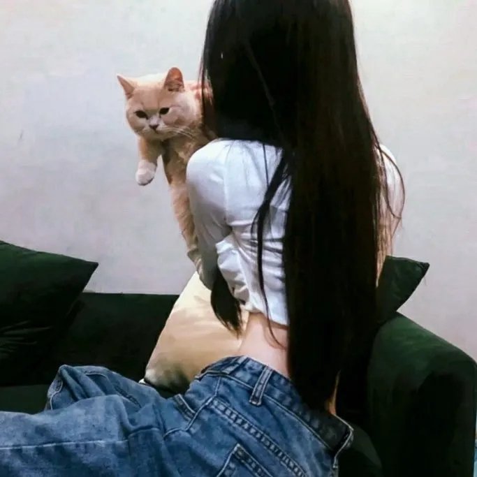 猛龙铁金刚
